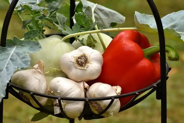 Нутриціолог перерахувала продукти для здоров'я зубів