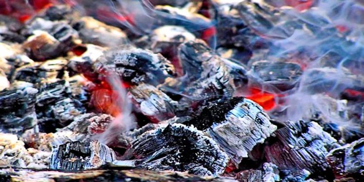 Які рослини не можна підгодовувати попелом