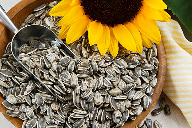 Кому корисно їсти насіння соняшнику