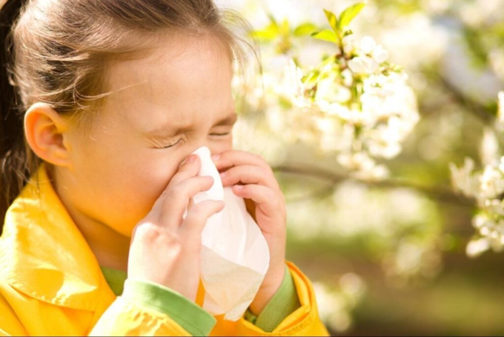 Як рятуватися під час весняної алергії: 7 ефективних порад