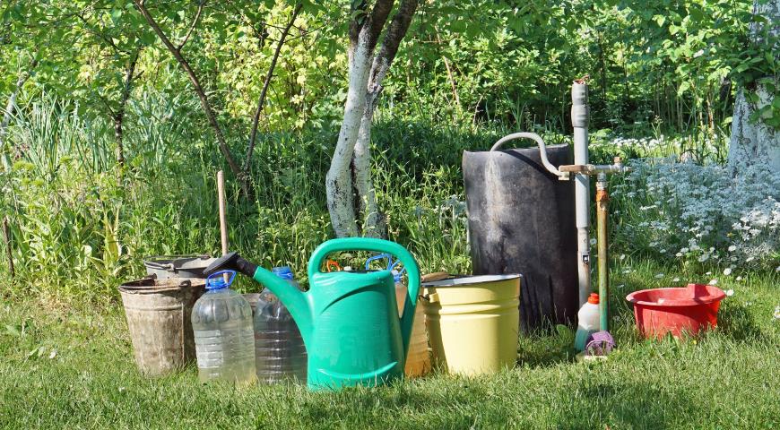Гній та компост – головні органічні добрива, без яких важко уявити вирощування овочів, фруктів, ягід.