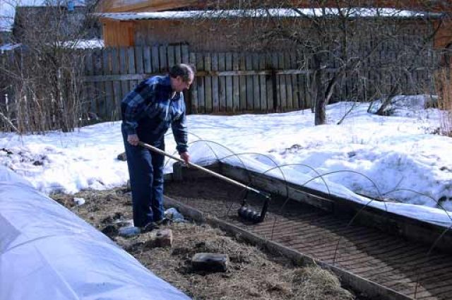 Чому потрібно посипати сніг золою на початку весни: корисні поради дачникам