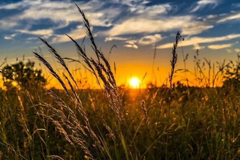 20 червня 2024 року день літнього сонцестояння - енергетично сильний час: що не можна робити в цей день