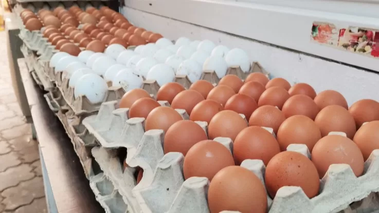 ЄС може повернути мито на українські яйця та цукор