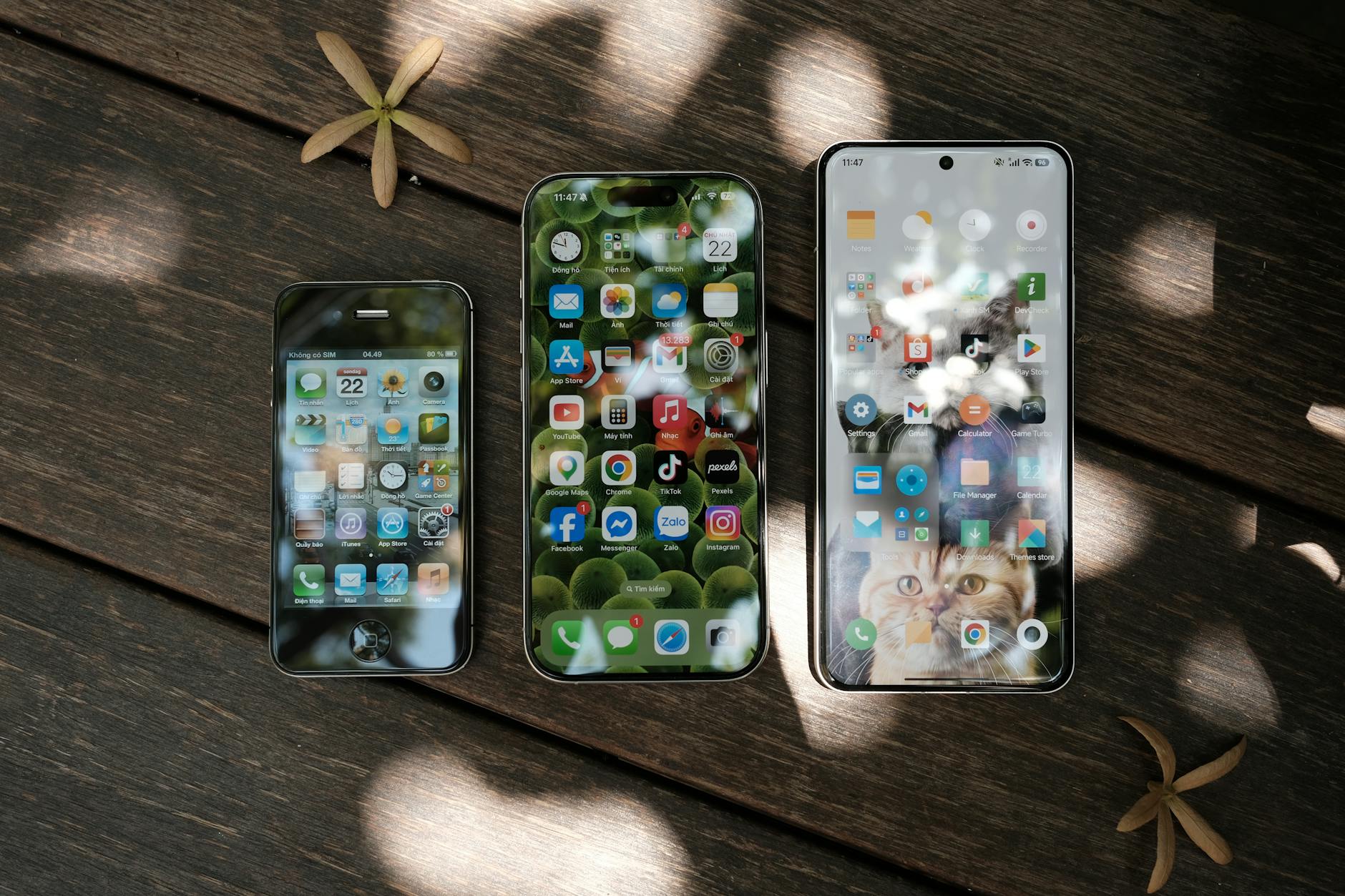 comparison social media phone
