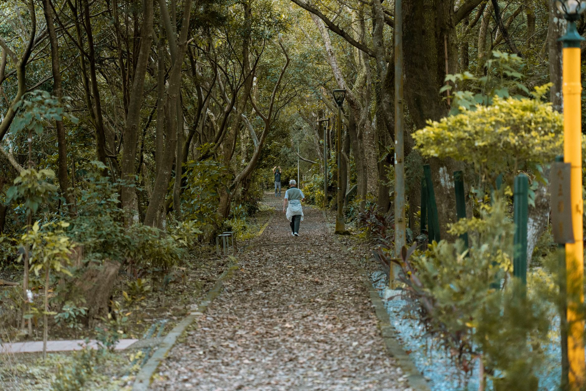 walking park nature trail