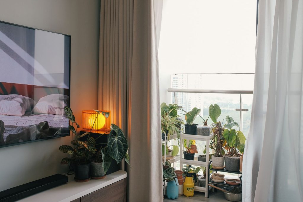 indoor plants apartment shelf