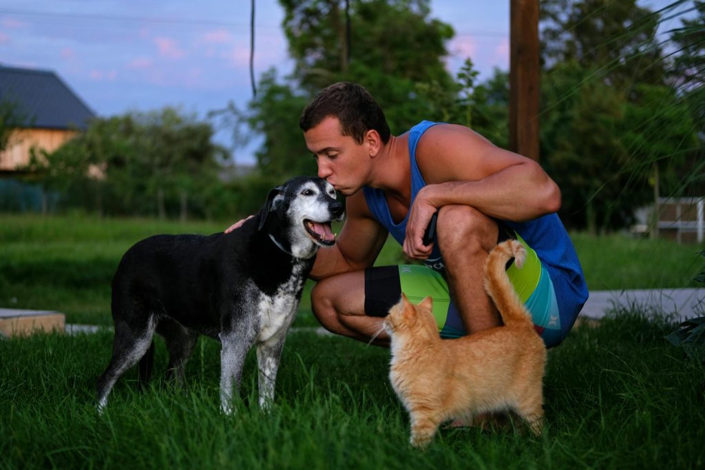 pet dog cat family choose