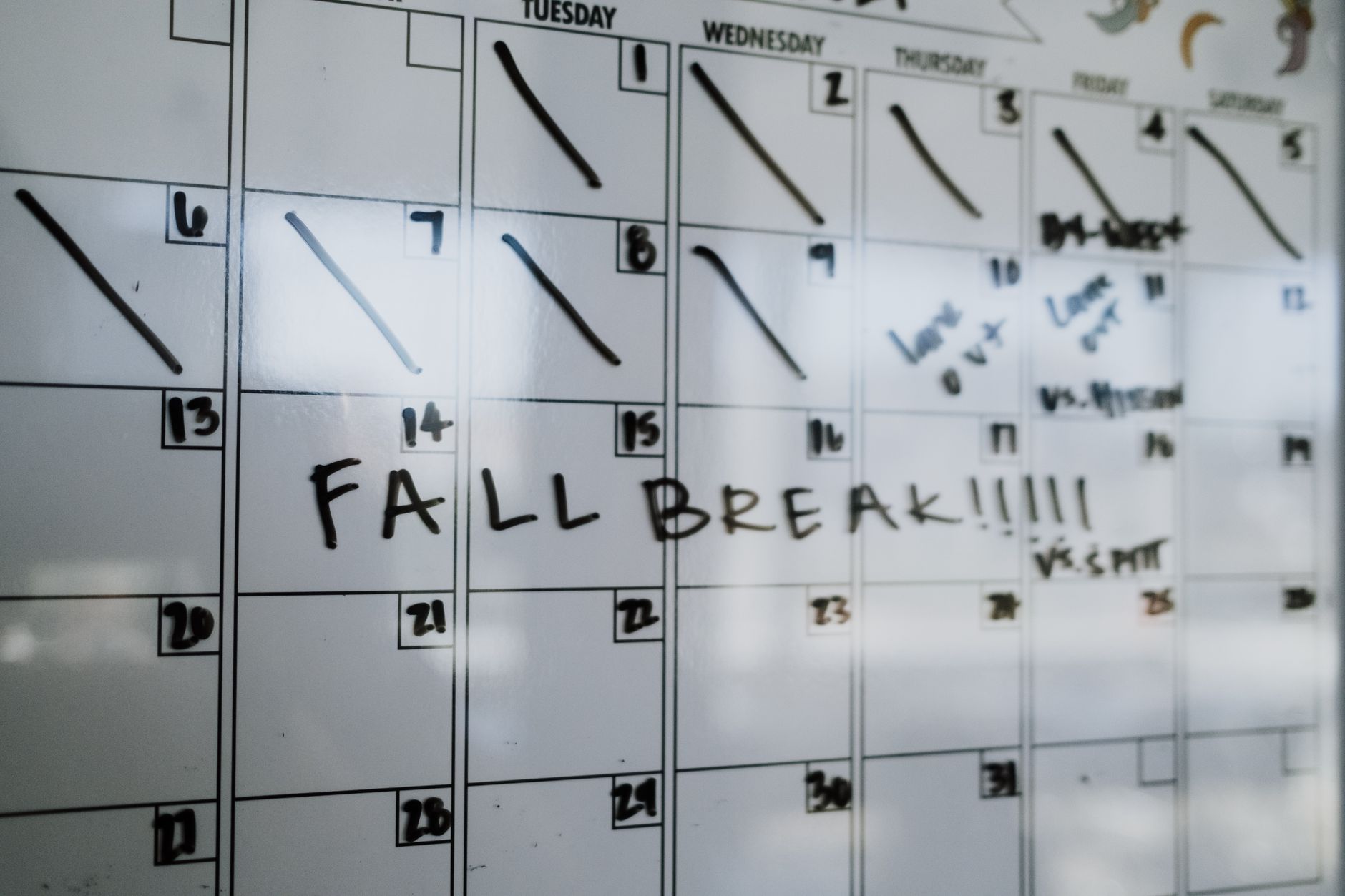 meal planning week calendar food