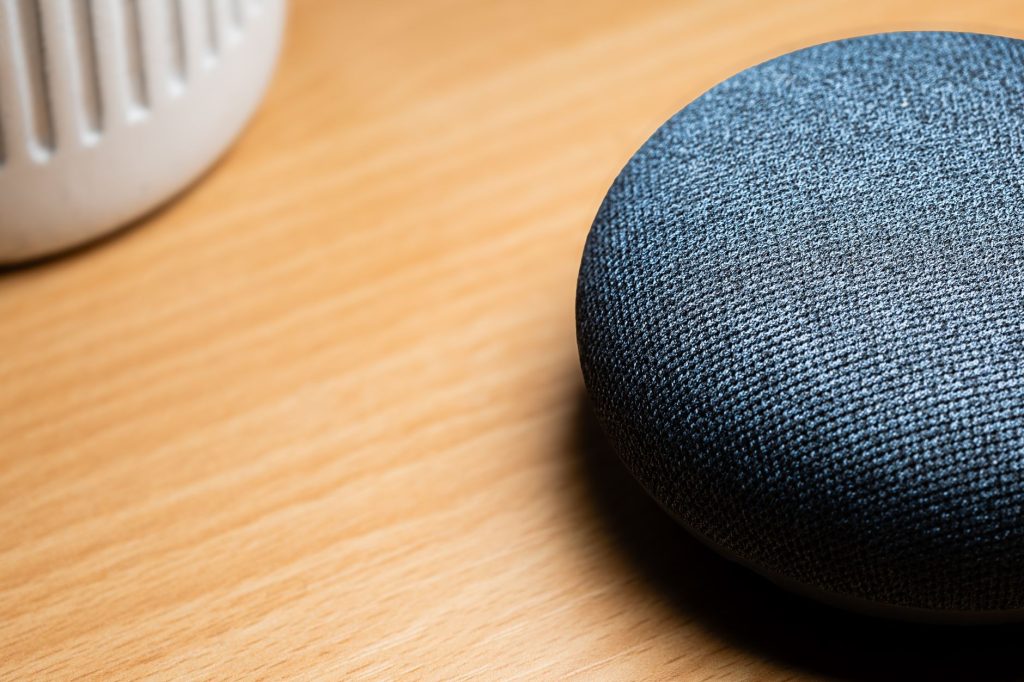 voice assistant google home