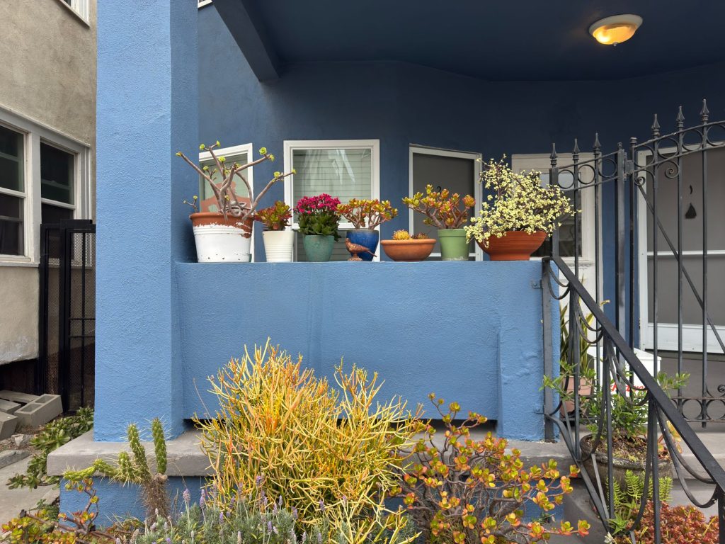 home garden balcony plants
