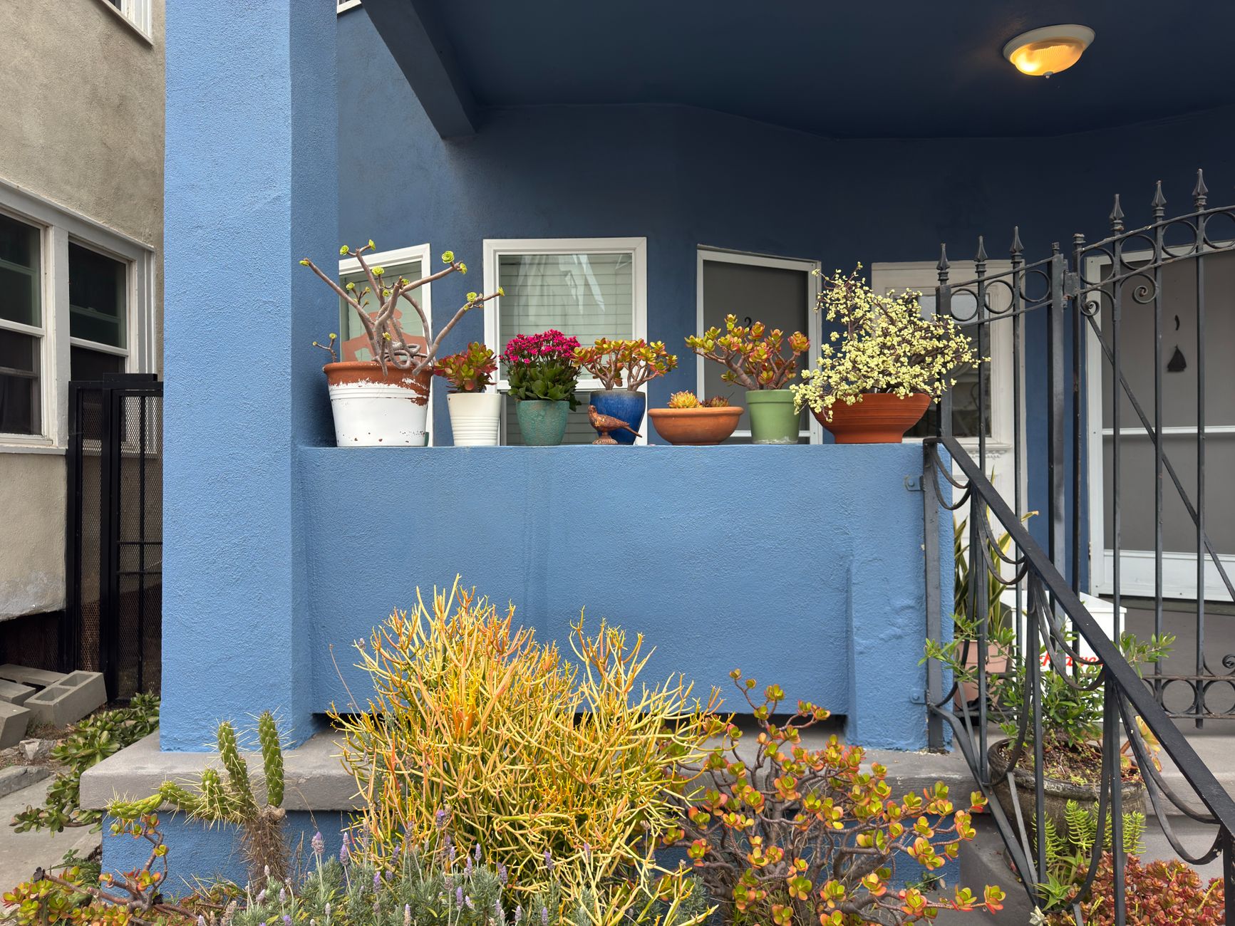 home garden balcony plants