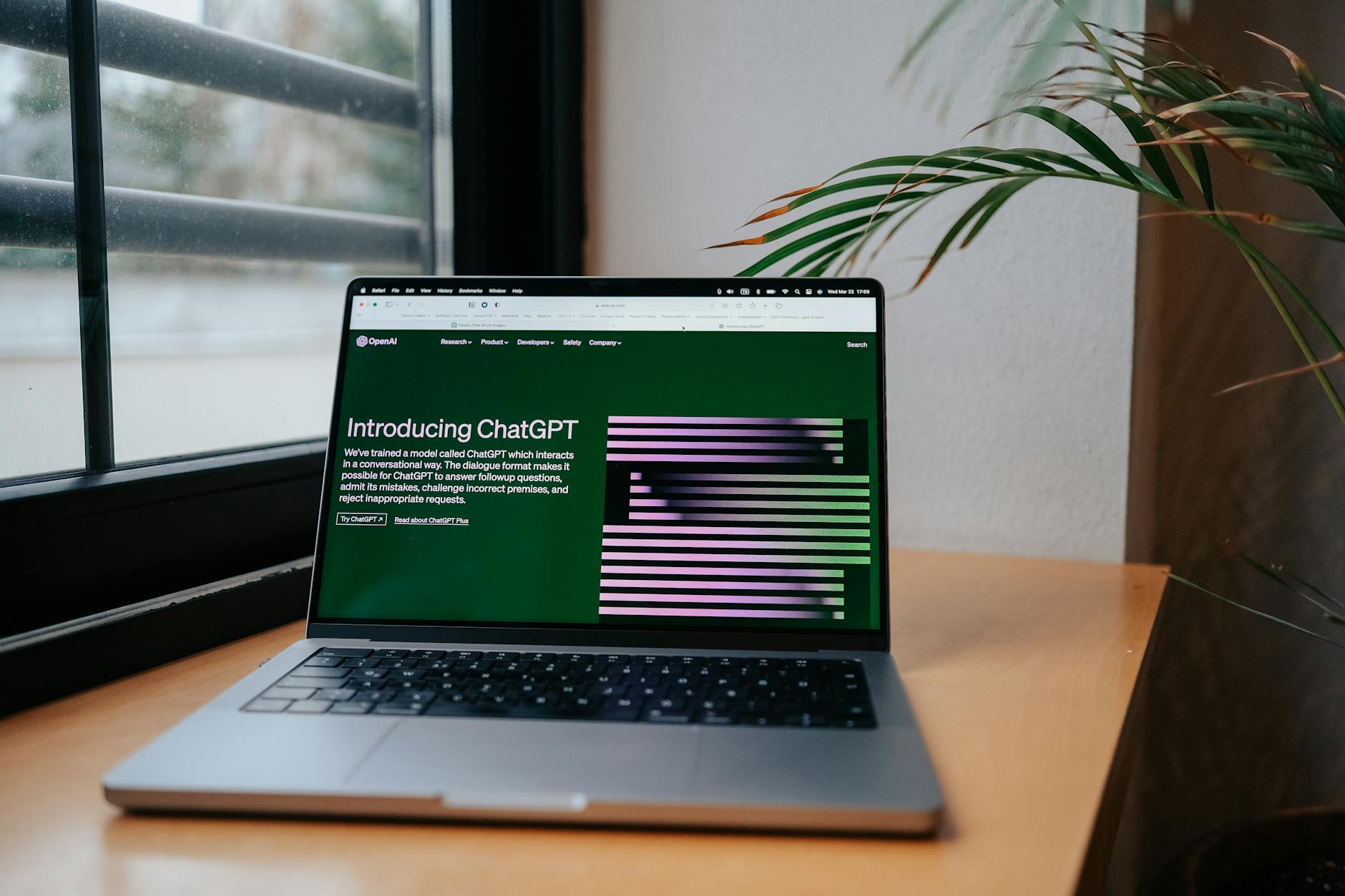 chatgpt accounting laptop business