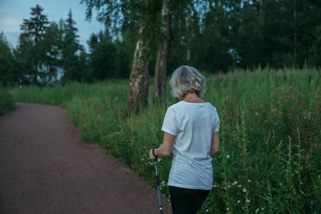 nordic walking sticks autumn