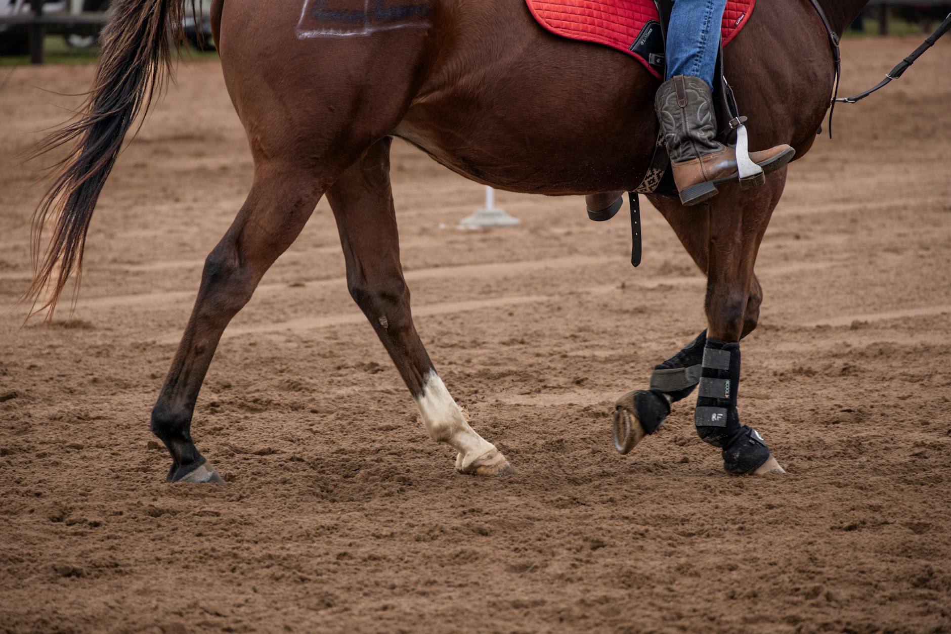 knee brace running protection