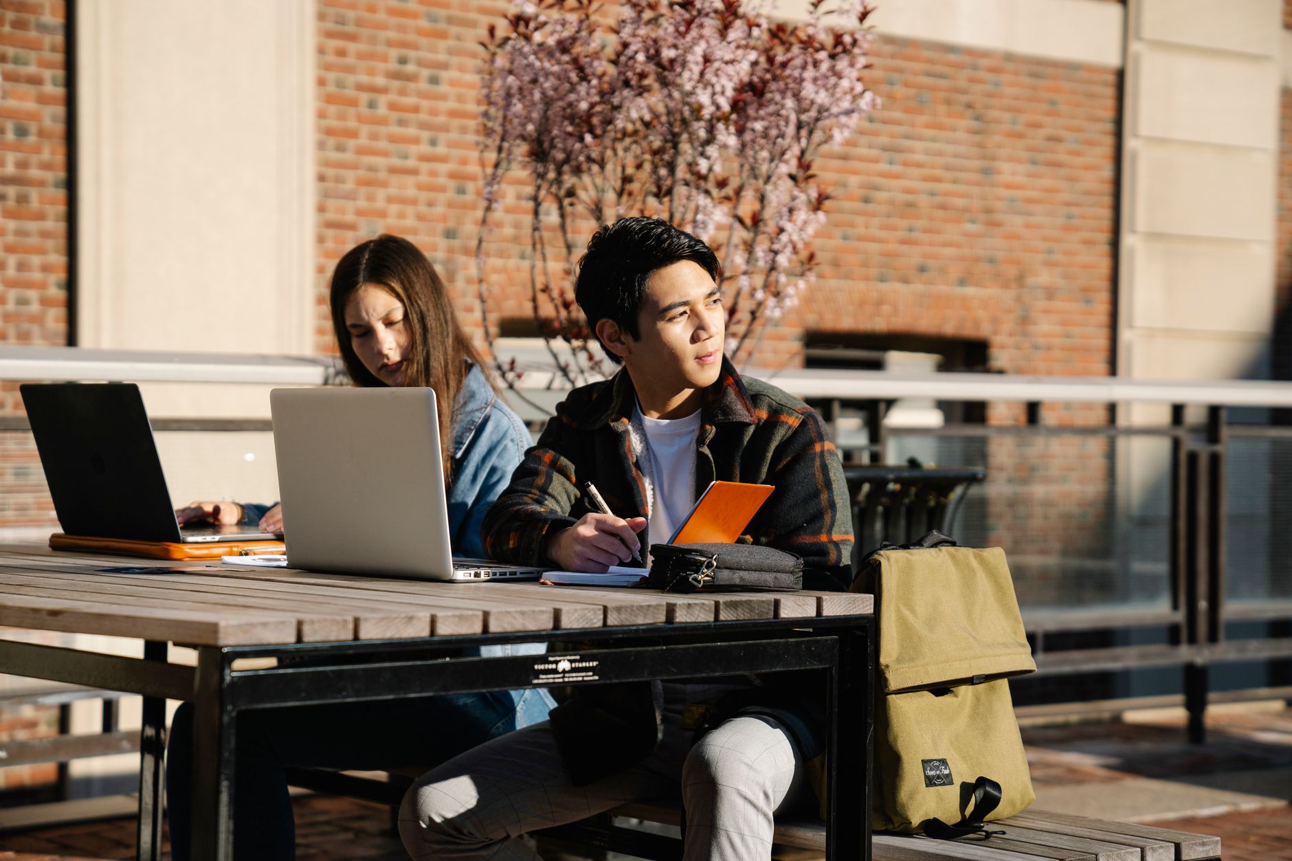 notion student study laptop